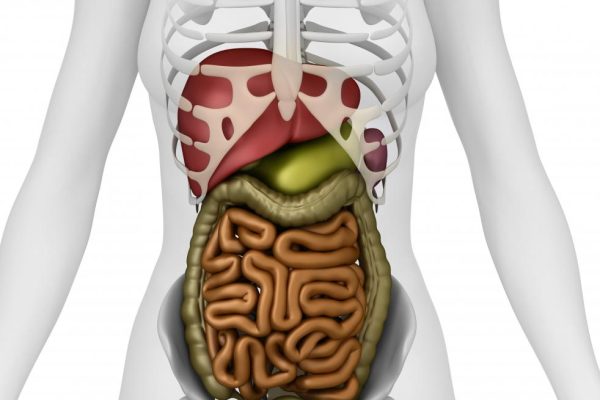 PERFORATION OF HOLLOW VISCUS