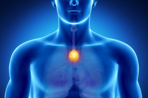 iStock-153522166-5c252e3846e0fb000179f1e5